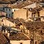 Pesco_043