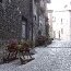 nuova car...